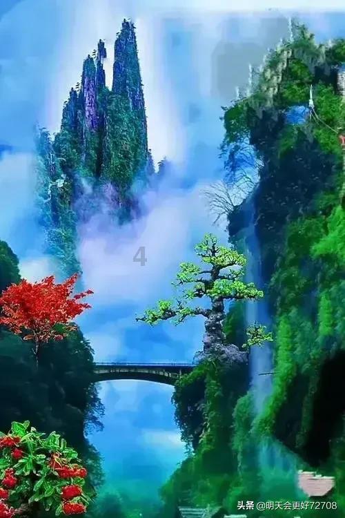 逃离声望森林