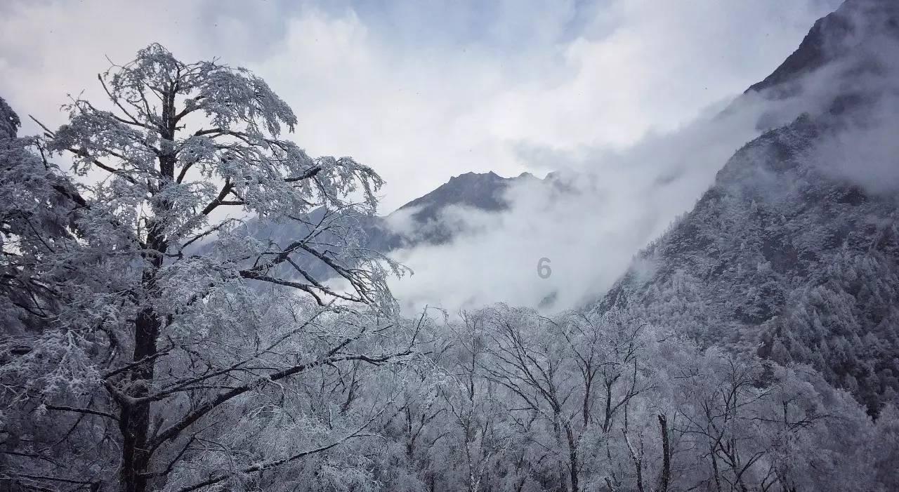 逃离幻想冰淇淋场