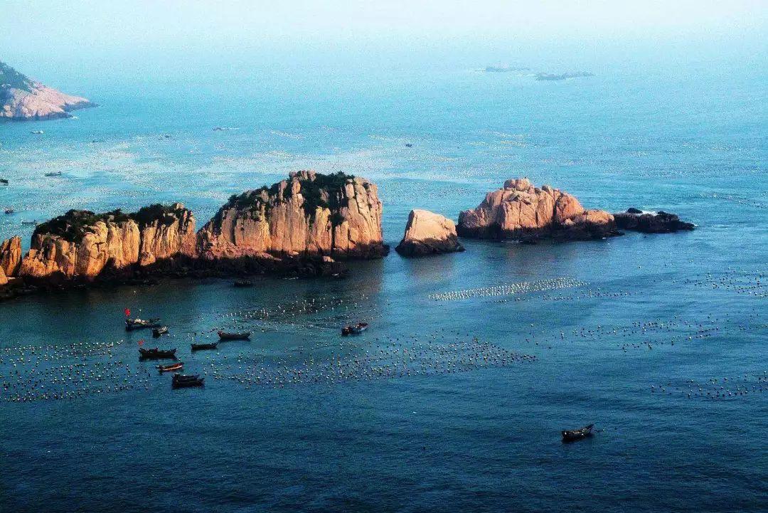 “太岁”究竟为何物？他的存在是不是违背了地球的生命规律？游戏画面