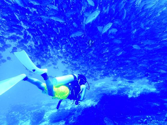 百胜中国1月19日斥资约240万美元回购6.83万股