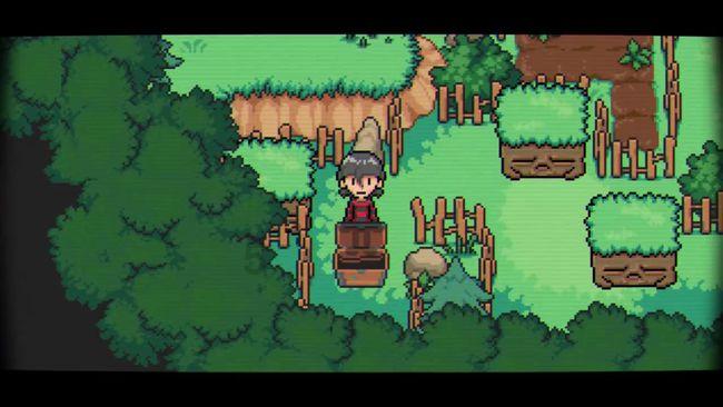 lisa感染新冠，真的假的？