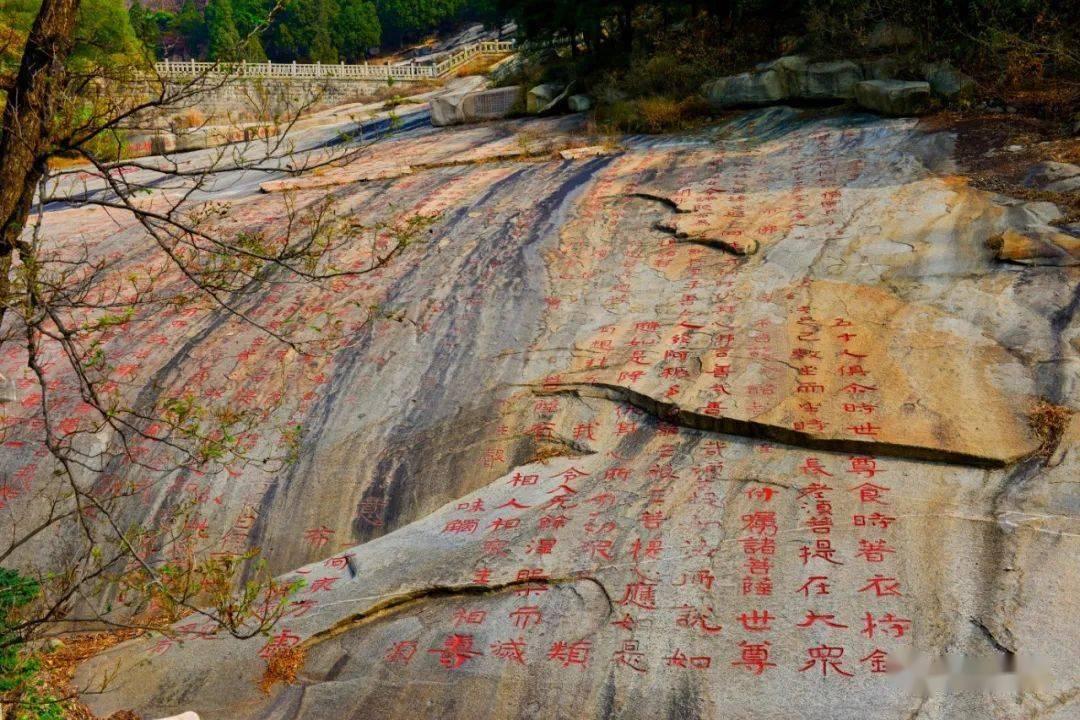 脑洞小老弟无实名认证
