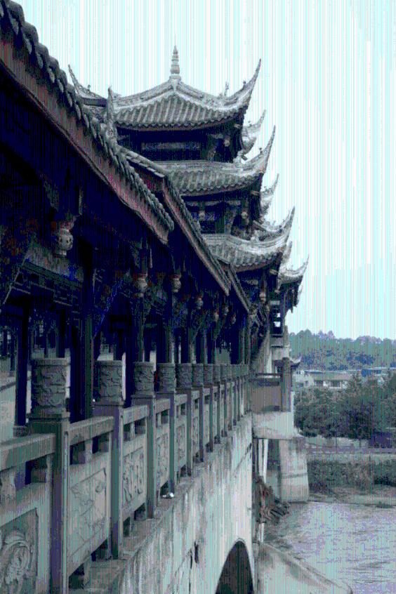 水果时尚风格